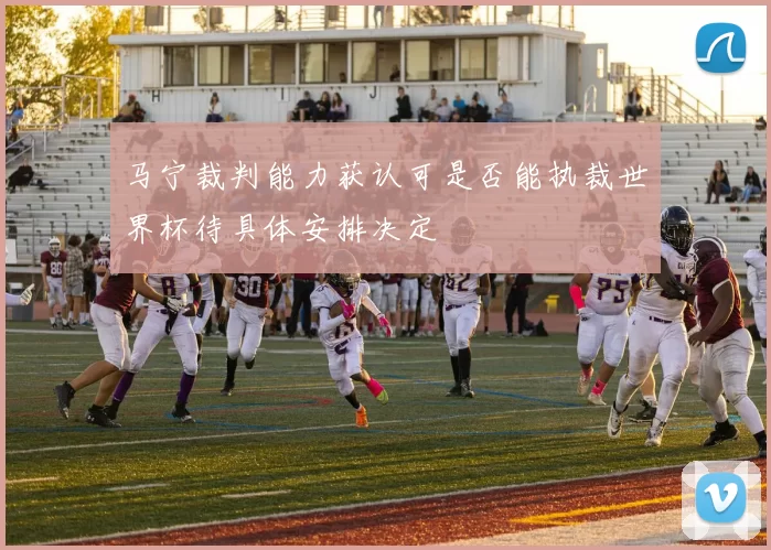 马宁裁判能力获认可是否能执裁世界杯待具体安排决定