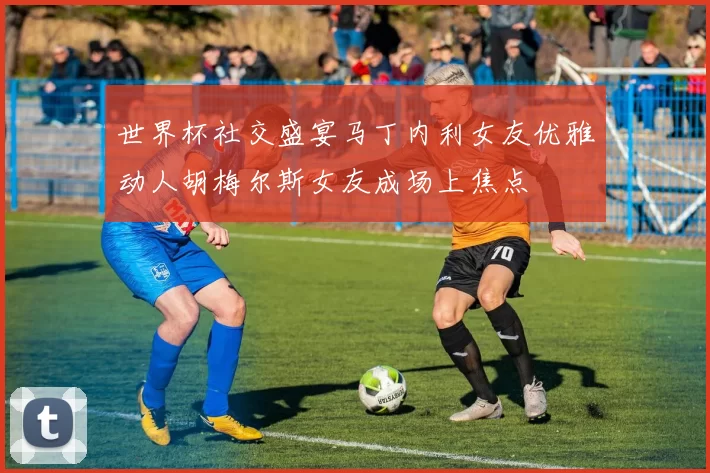 世界杯社交盛宴马丁内利女友优雅动人胡梅尔斯女友成场上焦点