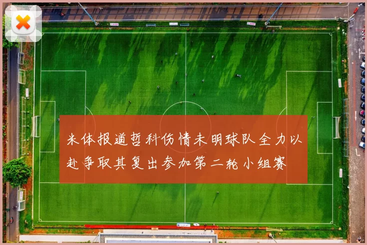米体报道哲科伤情未明球队全力以赴争取其复出参加第二轮小组赛